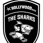 bet sharks